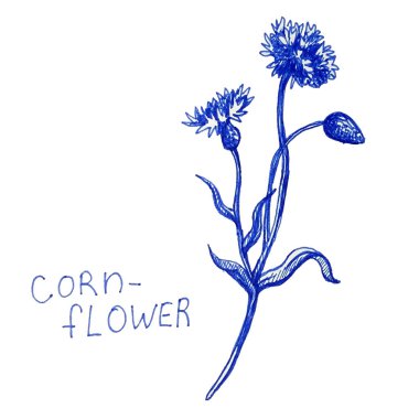 Hafif mavi yazıtlı illüstrasyon bahar titreşimleri, el yazısı stili, yapraklar ve doku, bahar, bahar tatilleri, kumaş ya da kağıda basım ve dijital