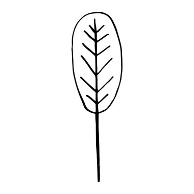 El yapımı bitkiler ve yapraklı ağaç dalları. Vektör çiçek siluetleri. Grafik tasarım elementleri. Siyah beyaz botanik illüstrasyon.