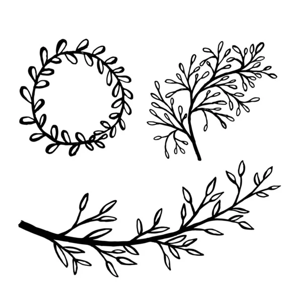 Kézzel rajzolt növények és faágak levelekkel. Vektor virágos sziluettek. Grafikus tervezési elemek. Fekete-fehér botanikai illusztráció. — Stock Vector