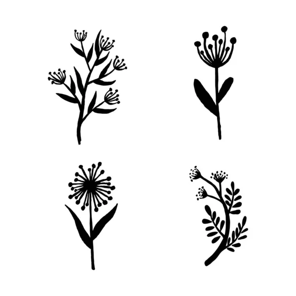 Handgetekende planten en boomtakken met bladeren. Vector bloemen silhouetten. Grafisch ontwerp elementen. Zwart-wit botanische illustratie. — Stockvector