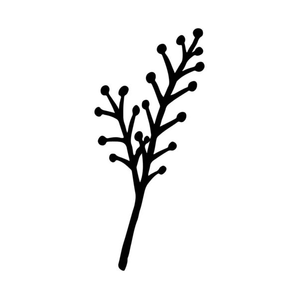 Piante disegnate a mano e rami d'albero con foglie. Silhouette floreali vettoriali. Elementi grafici di design. Illustrazione botanica in bianco e nero . — Vettoriale Stock