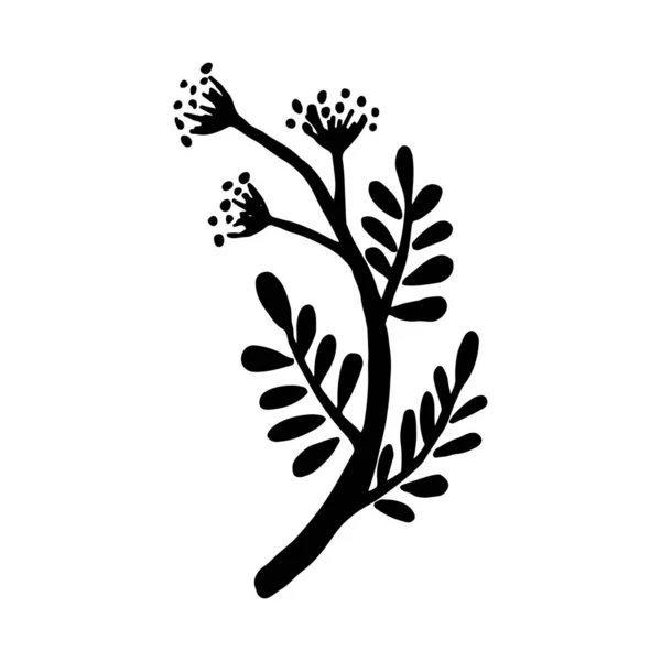 Hand drawn plants and tree branches with leaves. Vector floral silhouettes. Graphic design elements. Black and white botanical illustration. — 스톡 벡터