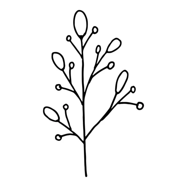 Χειροποίητα φυτά και κλαδιά δέντρων με φύλλα. Διάνυσμα floral σιλουέτες. Γραφικά στοιχεία σχεδιασμού. Ασπρόμαυρη βοτανική απεικόνιση. — Διανυσματικό Αρχείο