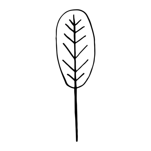 Hand drawn plants and tree branches with leaves. Vector floral silhouettes. Graphic design elements. Black and white botanical illustration. — 스톡 벡터