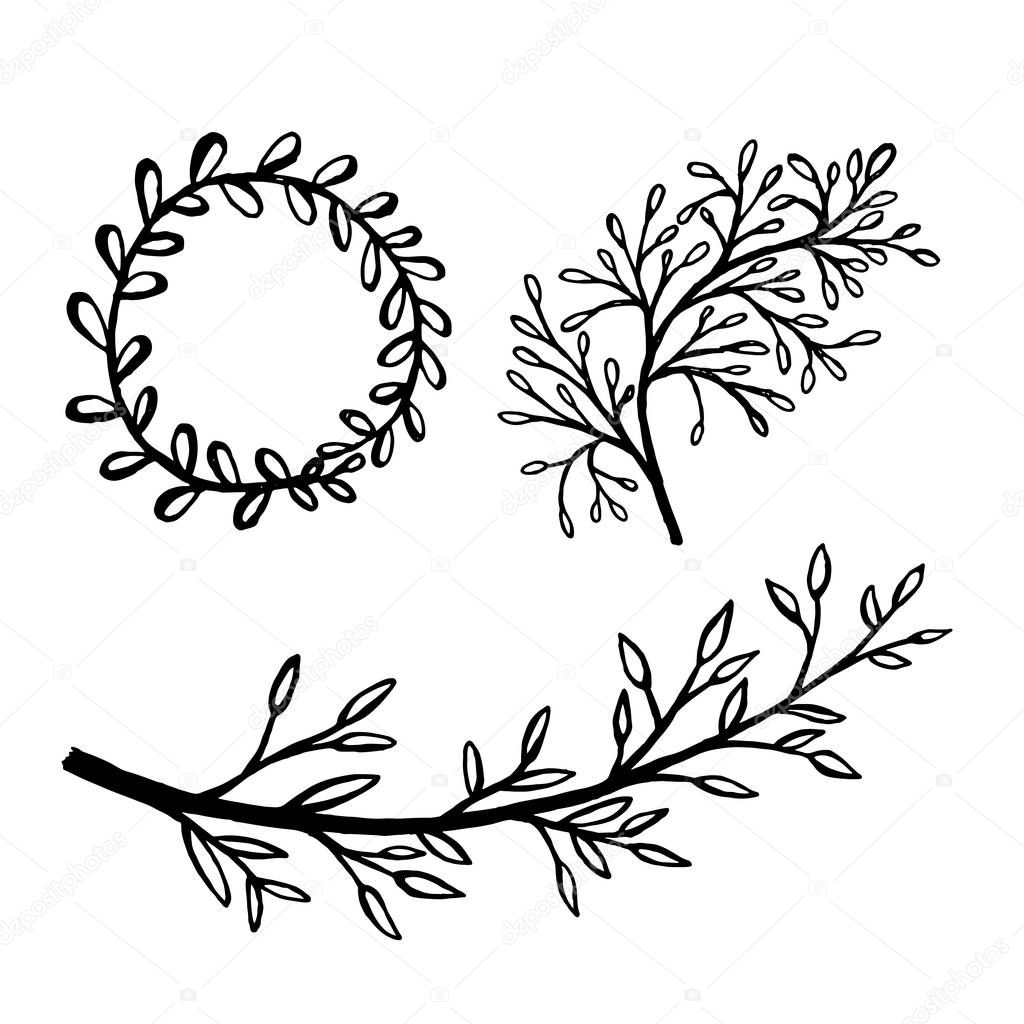 Hand drawn plants and tree branches with leaves. Vector floral silhouettes. Graphic design elements. Black and white botanical illustration