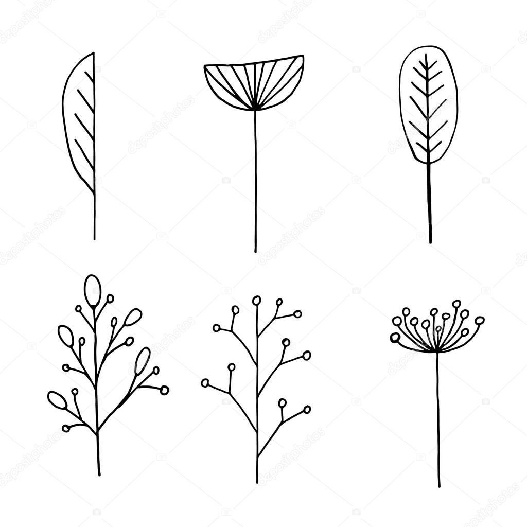 Hand drawn plants and tree branches with leaves. Vector floral silhouettes. Graphic design elements. Black and white botanical illustration