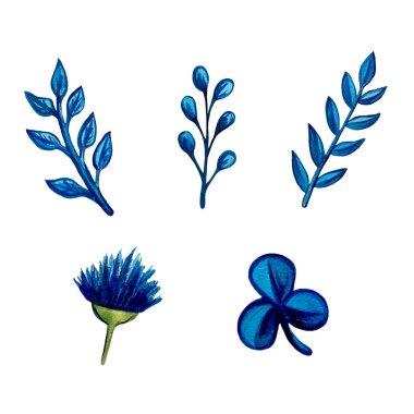 Bir dizi suluboya bitki ve çiçek çizimi