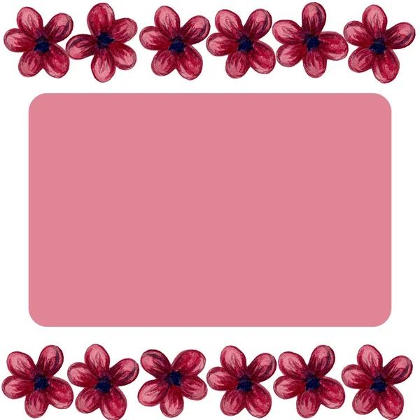 Conjunto Aquarela Desenho Ervas Flores Ilustração — Fotografia de Stock