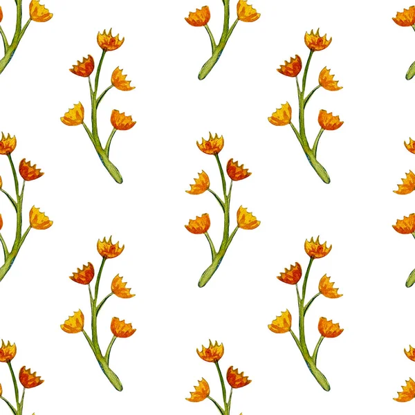 Set Van Aquarel Tekening Kruiden Bloemen Illustratie — Stockfoto