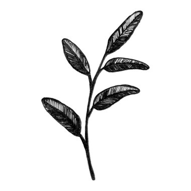 Son derece detaylı elle çizilmiş topluluğu izole üzerinde beyaz arka plan bırakır