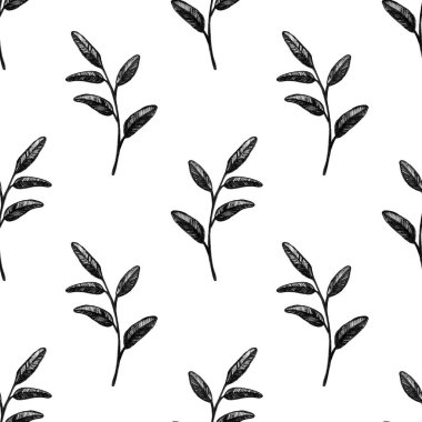 Son derece detaylı elle çizilmiş topluluğu izole üzerinde beyaz arka plan bırakır