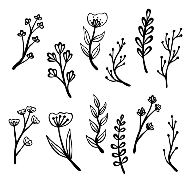 Conjunto Iconos Flores Planas Silueta Aislada Blanco — Vector de stock