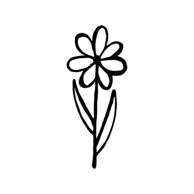 Şakayık çiçekli çizimler. Soyut çiçek çizimi. el çizimi vektör sanatı.