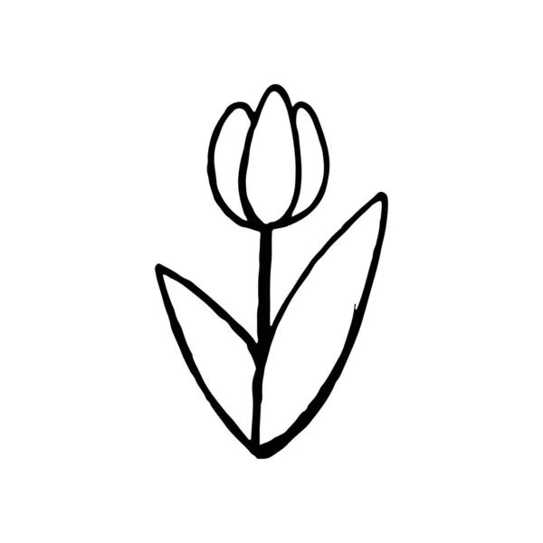 Sada Maleb Pivoňkových Květů Abstraktní Ilustrace Květin Ručně Kreslený Vektor — Stockový vektor