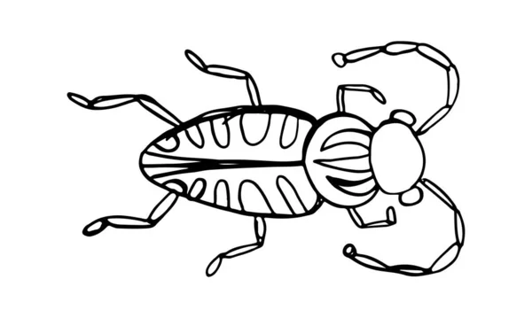 Dessin Humoristique Simple Sur Insecte Dangereux Symbole Coloré Isolé Sur — Image vectorielle