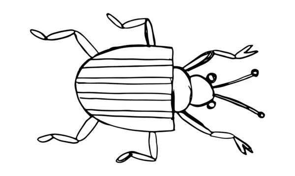 Peligro Simple Insecto Dibujos Animados Icono Colores Aislado Blanco Ilustración — Vector de stock