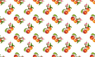 Suluboya el çizimi meyve seti