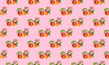 Suluboya el çizimi meyve seti