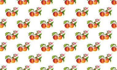 Suluboya el çizimi meyve seti