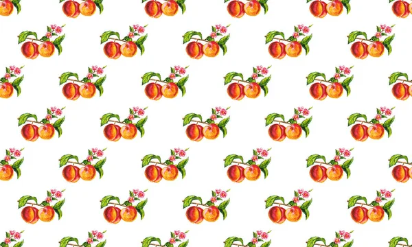 Conjunto Frutas Desenhadas Mão Aquarela — Fotografia de Stock