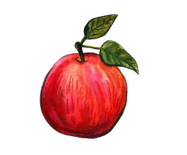 Suluboya el çizimi meyve seti