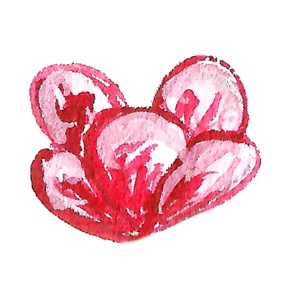 Σετ Φρούτων Ζωγραφισμένο Στο Χέρι Ακουαρέλα — Φωτογραφία Αρχείου