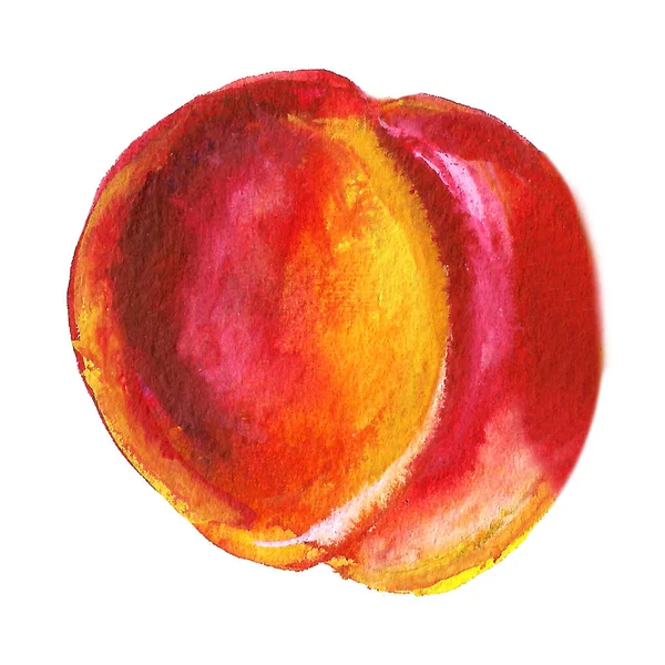 Watercolor Hand Drawn Fruit Set — Stock Photo, Image