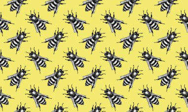 El çizimi Arı Çizimi. Dövme ve el yapımı dekoratif broş için illüstrasyon. Kartpostal, tişört, kumaş çanta veya poster olarak kullanılabilir. Böcek koleksiyonu.