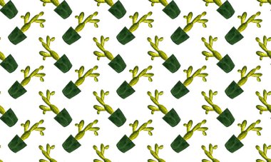 Suluboya kaktüs dikişsiz desen. Suluboya kaktüsler, elle çizilmiş kaktüsler.