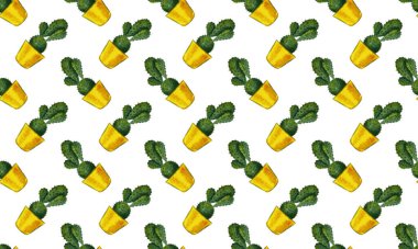 Suluboya kaktüs dikişsiz desen. Suluboya kaktüsler, elle çizilmiş kaktüsler.