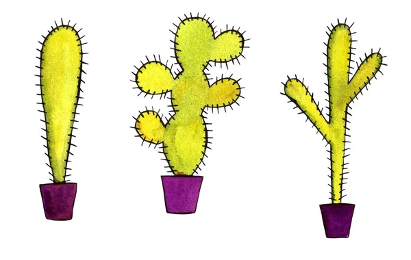 Cactus Acuarela Patrón Sin Costura Cactus Acuarela Conjunto Cactus Dibujados — Foto de Stock