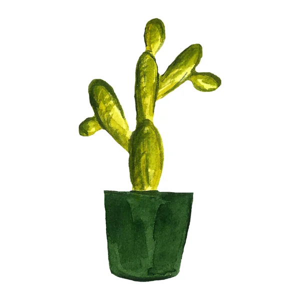 Akvarell Kaktusz Zökkenőmentes Minta Akvarell Kaktusz Kézzel Húzott Kaktuszkészlet — Stock Fotó