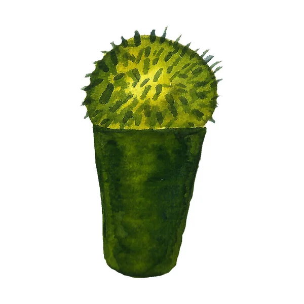 Aquarelcactus Naadloos Patroon Aquarelcactussen Met Hand Getrokken Cactussen Set — Stockfoto
