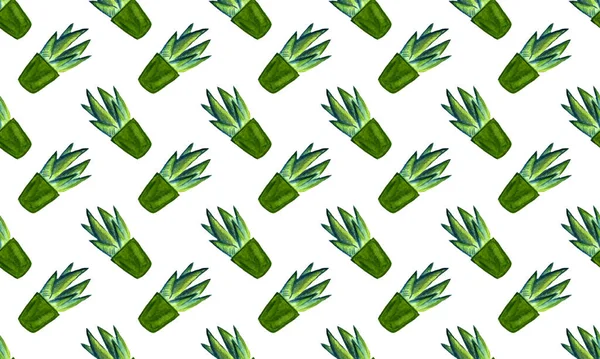 Cactus Acuarela Patrón Sin Costura Cactus Acuarela Conjunto Cactus Dibujados —  Fotos de Stock