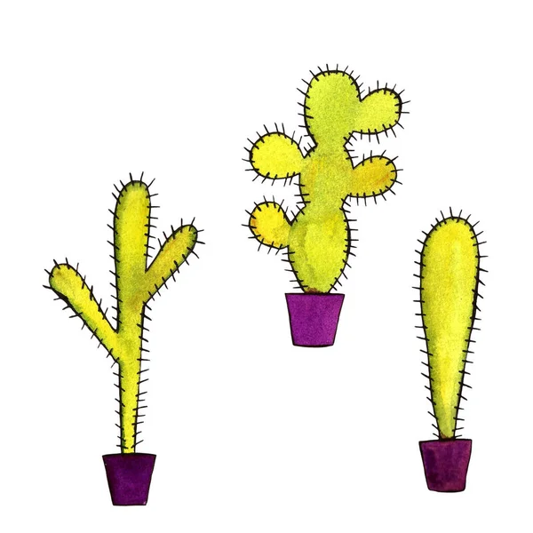 Cactus Acuarela Patrón Sin Costura Cactus Acuarela Conjunto Cactus Dibujados —  Fotos de Stock