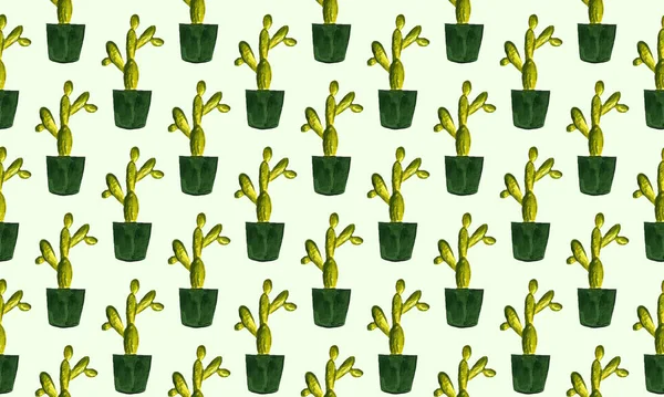 Aquarell Kaktus Nahtloses Muster Aquarell Kakteen Handgezeichnete Kakteen Set — Stockfoto