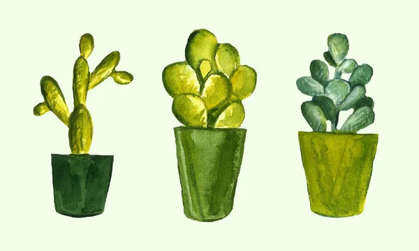 Akvarell Kaktus Sömlöst Mönster Akvarellkaktusar Handritade Kaktusar — Stockfoto