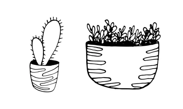 Ручной Рисунок Весенний Кактус Кастрюле Абстрактной Точкой Цвета Фона — стоковый вектор