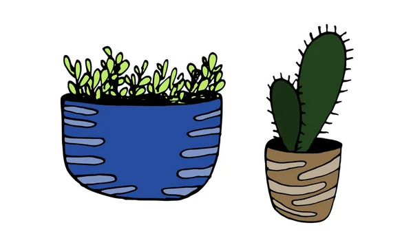 Disegnato Mano Cactus Primaverile Una Pentola Con Astratto Punto Colore — Vettoriale Stock