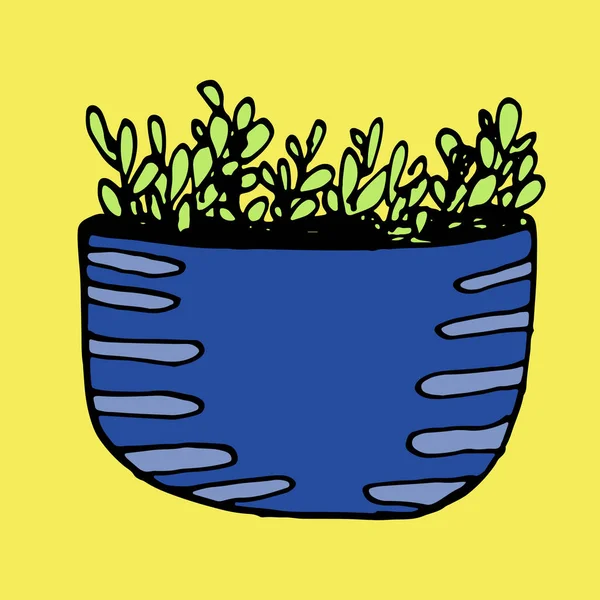 Cactus Primavera Dibujado Mano Una Maceta Con Color Fondo Punto — Archivo Imágenes Vectoriales