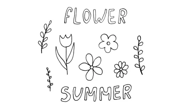 Zestaw Prostych Letnich Rysunków Kwiatów Abstrakcyjny Kwiat Ilustracji Ręcznie Rysowane — Wektor stockowy