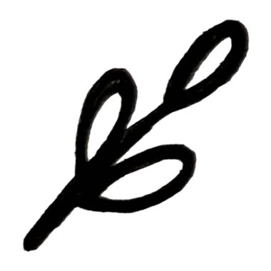 Bitki dalının el çizimi çizimi çizimi