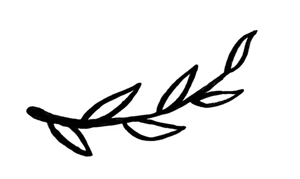 植物の枝の手描きマーカーイラスト 花のデザイン要素 春と夏のシンボル シンプルな黒の小枝の輪郭線画 — ストック写真