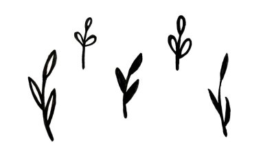 Bitki dallarının el çizimi çizimi çizimi. Çiçek tasarım elementlerinin toplanması. Bahar ve yaz sembolü. Basit siyah dal çizimini birleştir