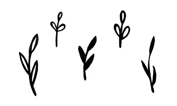 植物の枝の手描きマーカーイラストを設定します 花のデザイン要素のコレクション 春と夏のシンボル シンプルな黒の小枝の輪郭線画 — ストック写真