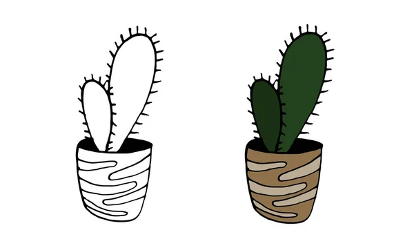 Vector Hand Drawn Illustration Cactus Green Houseplant Pot Home Interior — Stock Vector