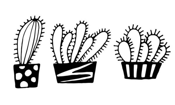 ポット内のサボテンの手描きベクトルイラストのコレクション 白い背景に隔離された落書きアウトラインの描画 エキゾチックな家庭植物 ホームインテリア装飾 黒と白の着色テンプレート — ストックベクタ