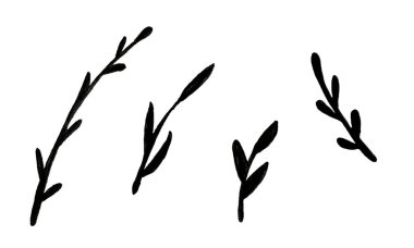 Bitki dallarının el çizimi çizimi çizimi. Çiçek tasarım elementlerinin toplanması. Bahar ve yaz sembolü. Basit siyah dal çizimini birleştir