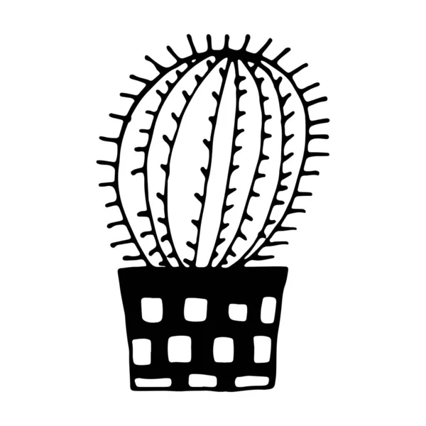 Векторная иллюстрация кактуса в банке — стоковый вектор