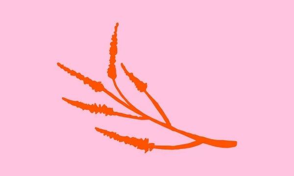 Векторная иллюстрация полевых цветов вручную — стоковый вектор